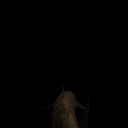 SharkLucy