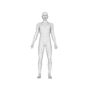 BodySkinIndexedFaceSetNIST